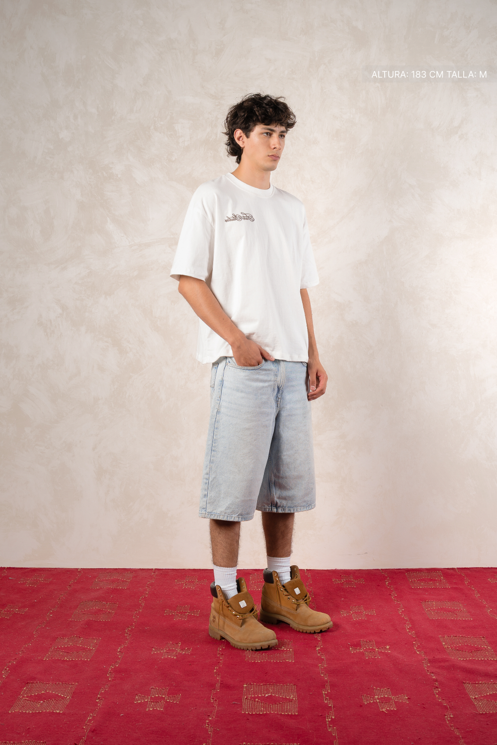 Deer Lounge Tee Ivory — photo 3